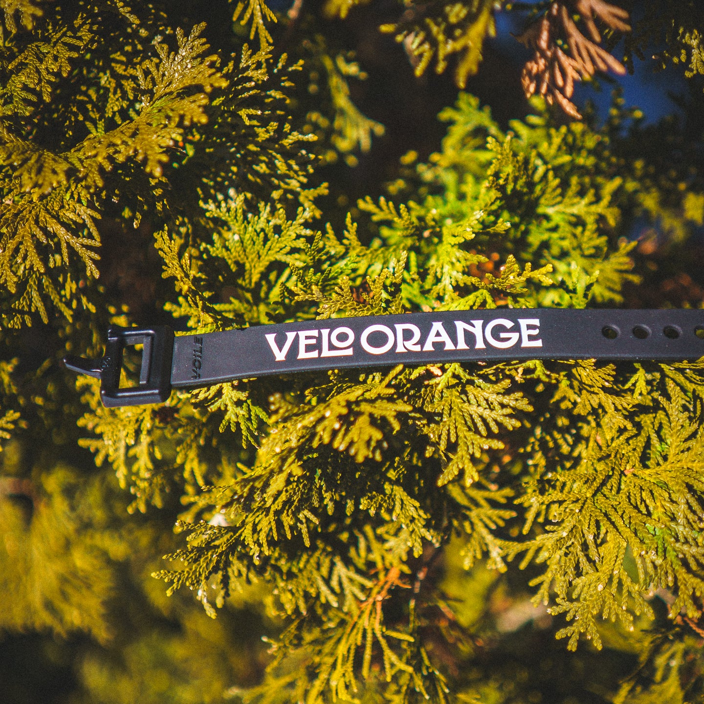 VO x Voile straps - Image 3